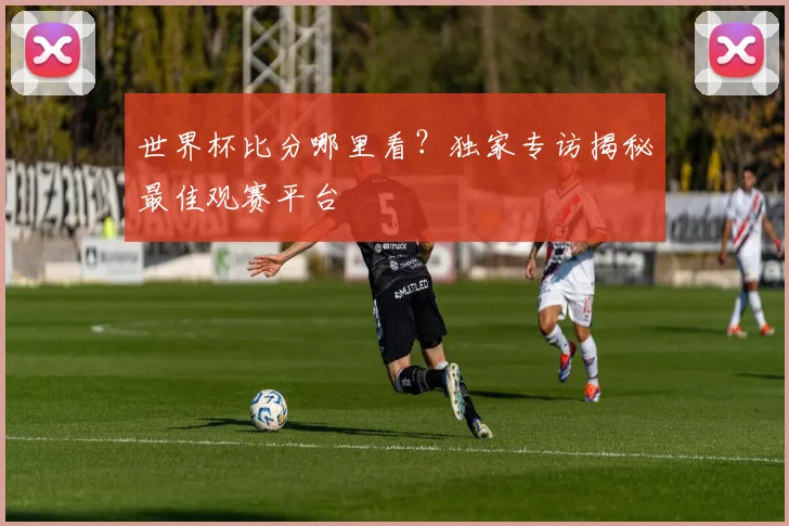 世界杯比分哪里看？独家专访揭秘最佳观赛平台