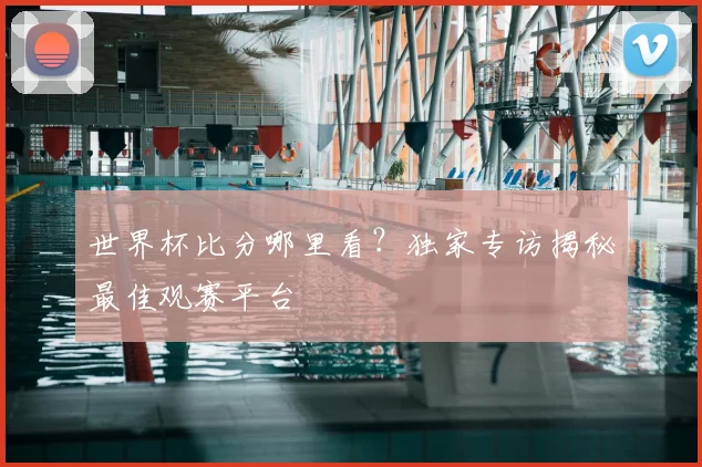 世界杯比分哪里看？独家专访揭秘最佳观赛平台