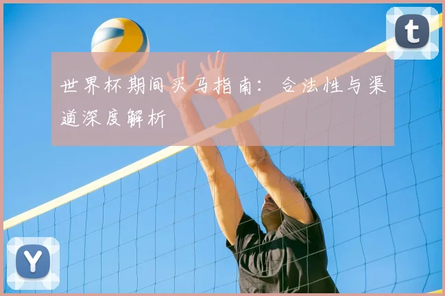 世界杯期间买马指南：合法性与渠道深度解析