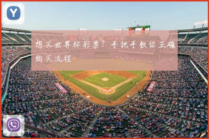 想买世界杯彩票？手把手教你正确购买流程