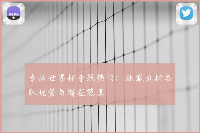 专访世界杯夺冠热门:独家分析各队优势与潜在隐患