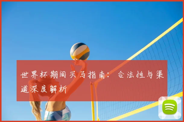 世界杯期间买马指南：合法性与渠道深度解析