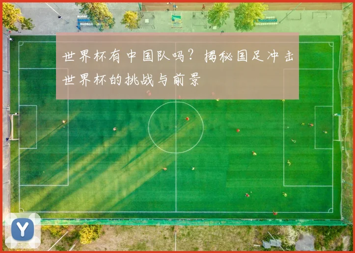 世界杯有中国队吗？揭秘国足冲击世界杯的挑战与前景
