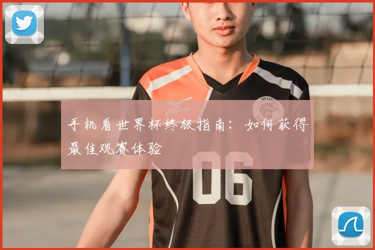 手机看世界杯终极指南：如何获得最佳观赛体验