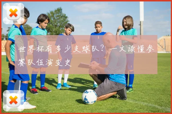 世界杯有多少支球队？一文读懂参赛队伍演变史