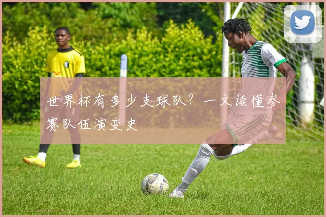 世界杯有多少支球队？一文读懂参赛队伍演变史