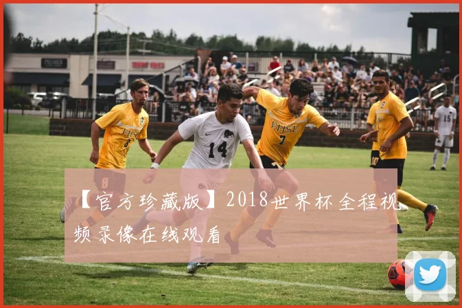 【官方珍藏版】2018世界杯全程视频录像在线观看