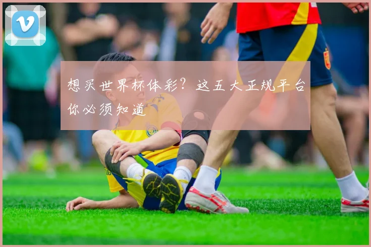 想买世界杯体彩？这五大正规平台你必须知道