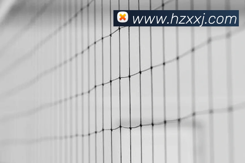 星空体育官网APP 高清赛事图